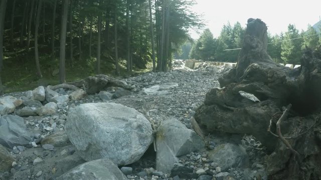 Beauty of the creek in forest,water flowing through the rocks in Himalayas in the Holy river Ganges. Uttarakhand,India.Upper Himalayas. Upper Himalayan Belt.