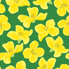 Seamless pattern with yellow flowers on green background. Vector illustration in flat style.