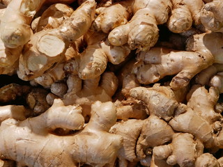 Selective focus of fresh gingers collected, cleaned up, and ready for sale in a market