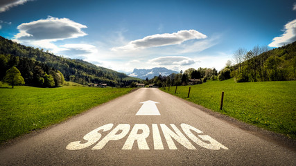 Sign 401 - Spring