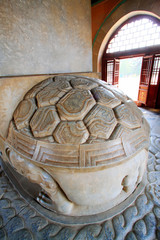stone tortoise back carving