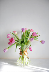 Flowers tulips bouquet in coffee jug decanter on white table in sunshine. White background isolated. Pink and lilac buds
