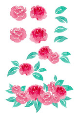 Watercolor painting of rose collection.