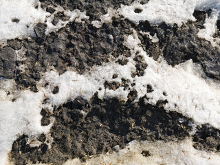 Winter melting snow on the road closeup, early spring