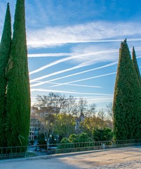 The blue skies over Madrid, Spain, lined with white clouds left by airplanes flying over the city in the early morning, framed by 4 trees.