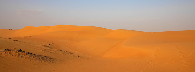 Fototapeta na wymiar Panorama Wüstenlandschaft