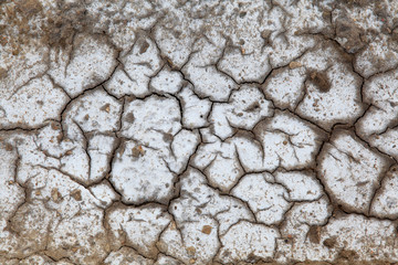 cracked saline-alkali land