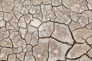 cracked saline-alkali land
