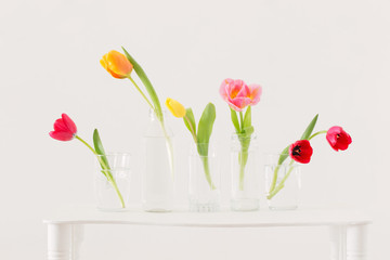 tulips in glass bottles on white background