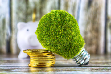 Piggy bank, green eco light bulb with grass and golden coins on wooden background. Renewable energy...