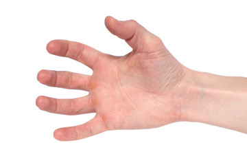 Hand holding something isolated on white background.