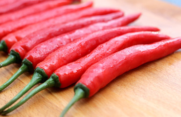 Red chilli pepper