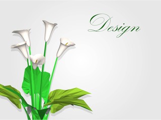 Lily background vector