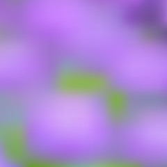 Abstract purple blurred background. Vector illustration.