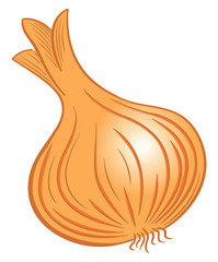 drawn cartoon vegetable onion