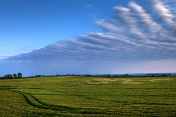 Fototapeta na wymiar Landschaft mit grünem Feld im Frühling und schönen Wolken