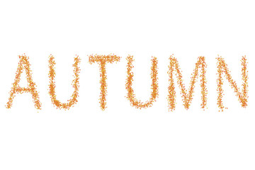 autumn background basic inscription leaf maple yellow red brown on white background design base