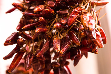 bunch of pods paprika hungrian dried many vegetables spicy seasoning closeup decoration kitchen design