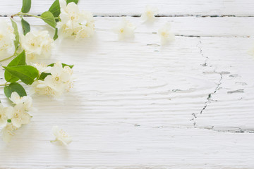 Fototapeta premium jasmine on white wooden background