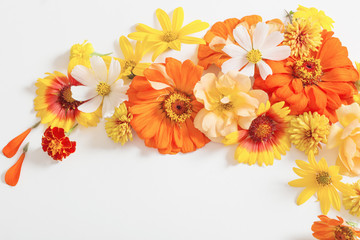 yellow and orange flowers on white background
