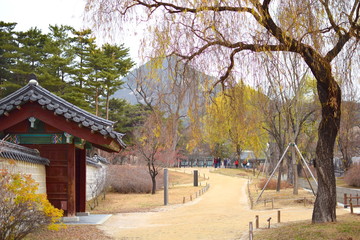 韓国ソウルの冬の公園