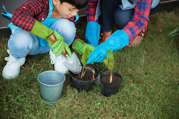 gardening activity mother and son in front of their house. happy parent and son planting a tree