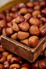 Pile of chestnuts 