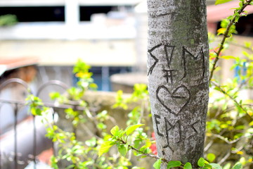 木に刻まれた文字