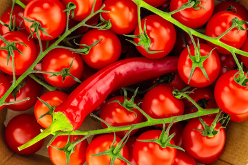tomato mini red bright on a branch a lot of vegetables and chili pepper close-up background design