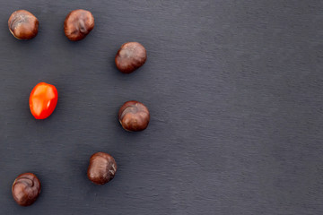 chestnut circle tomato cherry in the center contrast design on a black background slate base with copy spase