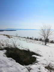 Woodland and forest ground covered with layer of snow. Part of winter snow in field. Thawed patch, melting snow. Growing grass in snow.