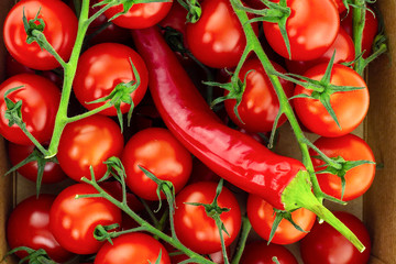 red set vegetable bright tomato cherry hot chili close-up background culinary juicy delicious ingredient