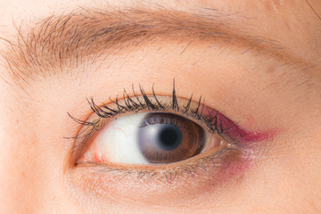 Fototapeta premium 目のアップとカラコン 若い女性 colored contact lenses and mascara