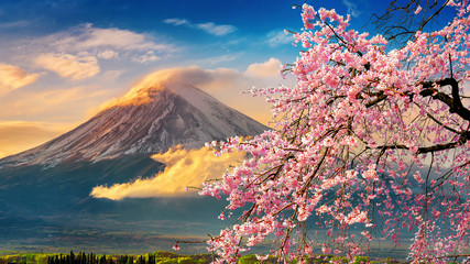 Obrazy na Szkle  Góra Fuji i wiśniowe kwiaty na wiosnę, Japonia.
