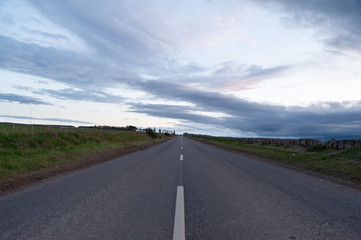 Road in the Field