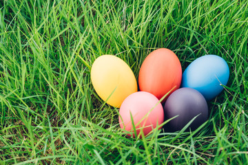 Fototapeta na wymiar Easter egg on garden grass background,