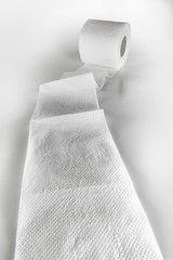 roll of toilet paper on white background