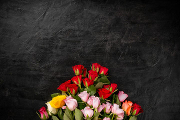 Fototapeta na wymiar Roses in a variety of colours
