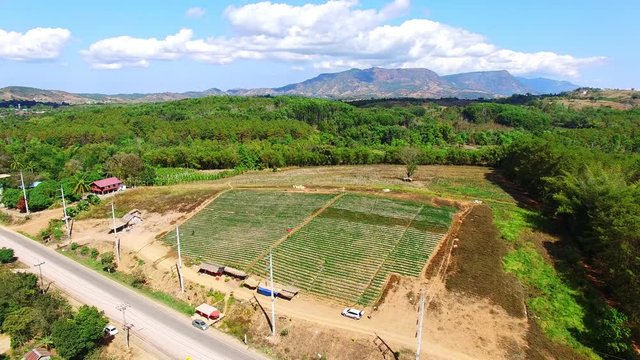 aerial view of agriculture plantation in khao kao petchabun thailand