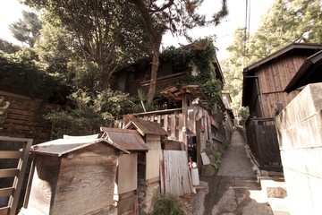 尾道　猫の細道