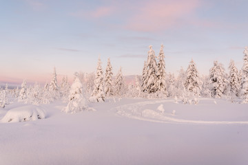 Winter landscapes in Lapland near Sirkka, Finland