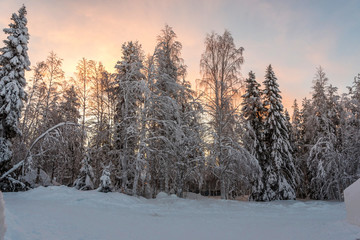 Fototapeta na wymiar Winter landscapes in Lapland near Sirkka, Finland