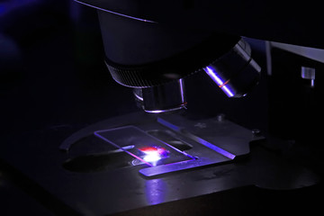 Microscopic lens in dark environment