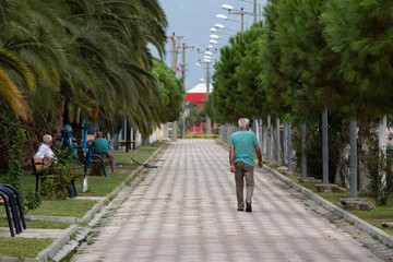 Fototapeta na wymiar Daily people routine, walking old man, walkway, tree and people, daily life