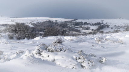Dartmoor winter landscape with trees and snow