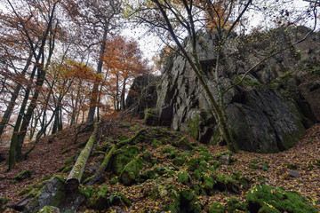 Soderasen