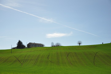 Colline di Ostra