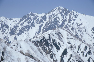 Snow from the Northern Alps Toomi Ridge - 北アルプス・遠見尾根から望む残雪の五竜岳
