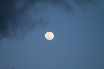 Full moon just risen in the dark blue sky with some gray clouds