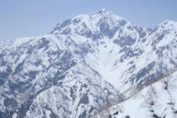 Snow from the Northern Alps Toomi Ridge - 北アルプス・遠見尾根から望む残雪の五竜岳